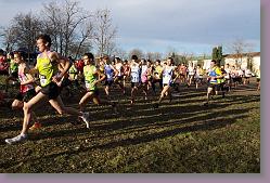 Begles 15.12.13 01 1014 * 679 x 453 * (167KB)